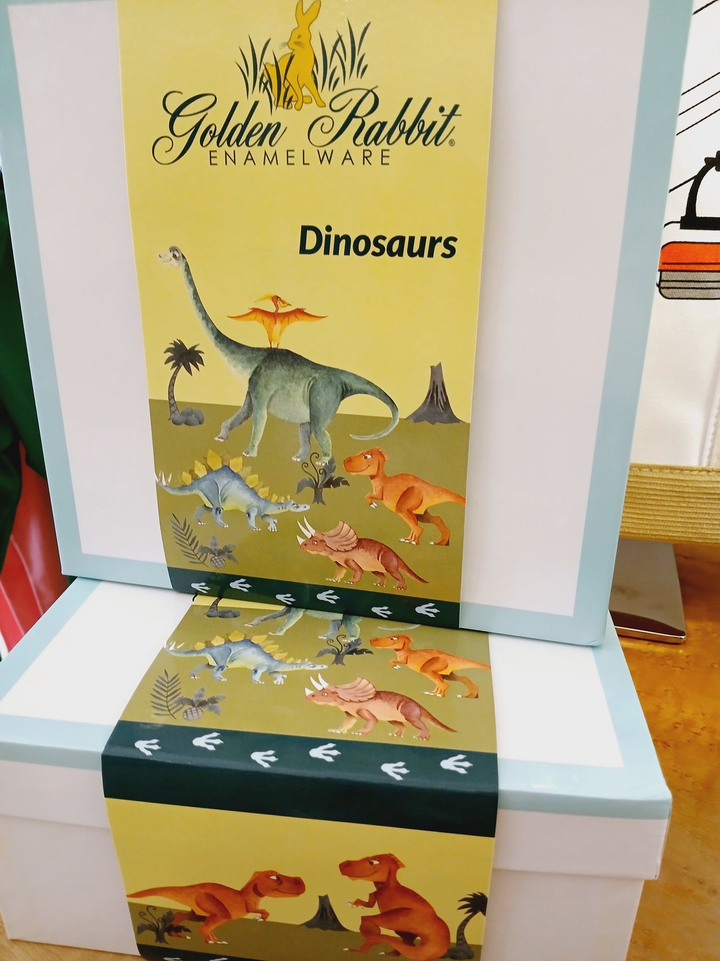 Dinosaurs Child Set