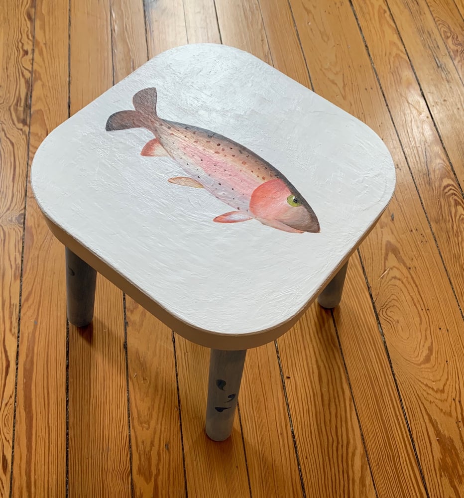 Tucker the Trout
